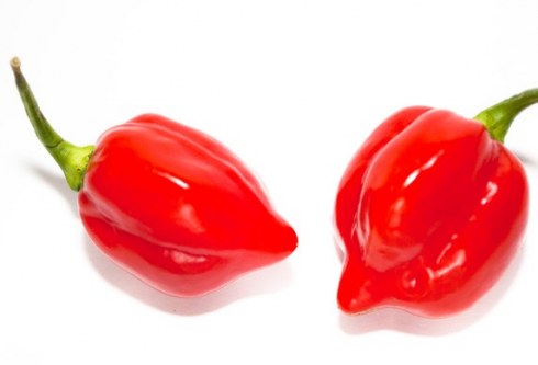 Tips To Remove Chili Stain